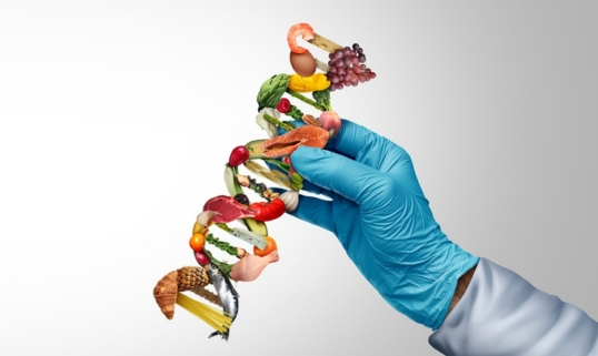 Diet Genomics